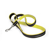 Laisse Julius K-9 IDC® Powair Néon petit Mousqueton